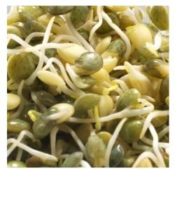 Seeds germinate - Lenses BIO, 150 g